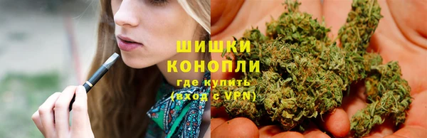 2c-b Белокуриха