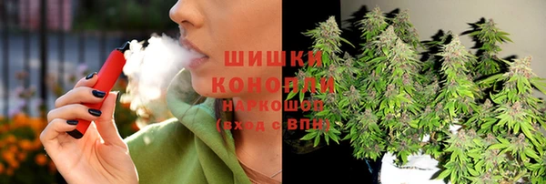2c-b Белокуриха