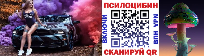 закладки  Комсомольск  Псилоцибиновые грибы Psilocybe 
